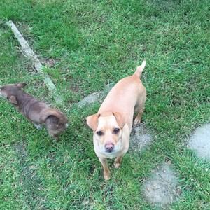 Meet your Posher, Carrie